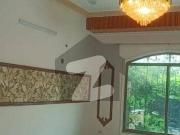 10 marla beautiful house for rent