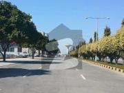 Affordable House Available For Sale In Wapda City Block K