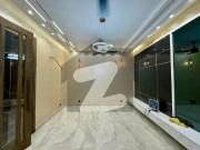 10 Marla Brand New Beautifully Designed Modern House For...