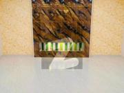 10 Marla Brand New Double Story House For Rent In Buch...