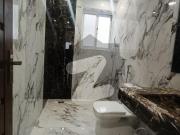 10 Marla Brand New Full Luxury House Available For Rent...