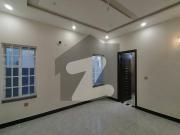 10. marla brand new house for rent