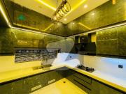 10 Marla Brand New House for Rent in Janiper Block...