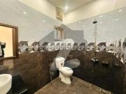 10 Marla Brand New House Lake City Meadows State Life...