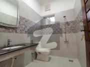 10 Marla Carnar Full Dezinar House Avalibal For Rent In...