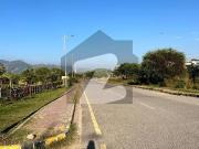 10 Marla Corner Plot For Sale In D 12/1