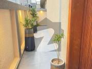 10 Marla Designer House For Rent Bahria Town Phase 8