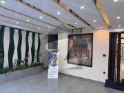 10 Marla Designer House for Sale Top City 1