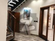 10 Marla double story beautiful luxury hose for sale in...