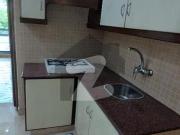 10 marla full luxury house | well maintained | for rent...