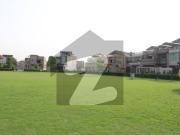 10 Marla Fully Furnished Magnificent Mansion in Zintara...