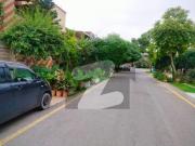 10 Marla Furnished House For Rent In Dha Phase 4 G DHA...