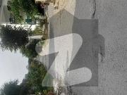 10 Marla Good Location Plot For Sale