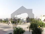 10 Marla Grey Structure Designer House Investor Rate...