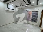 10 Marla House Available For Rent Bahria Town Phase 8 D...