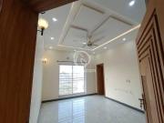 10 Marla House for Rent 10 Marla House for Rent