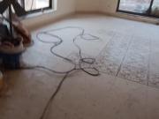 10 Marla House for Rent