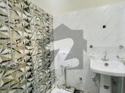 10 Marla House For Rent Available Tulip Block Bahria...