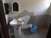 10 marla house for rent for it and software house...