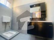 10 Marla House for Rent Wapda Town Phase 1
