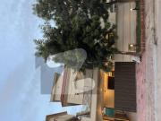 10 Marla House Street 7 Sector C1