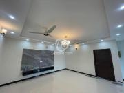 10 Marla Lower portion for Rent