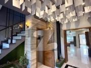 10 Marla Luxury Designer Brand New House For Rent