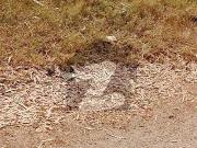 10 Marla Main Corner Plot For Sale Chakri Road In...