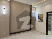 10 Marla Neat & Clean House Available For Rent at Best... 10 Marla Neat & Clean House Available For Rent at Best...