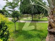 10 Marla Outstanding Located Plot For Sale In Sector A