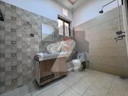 10 marla pairs brand new double story house available...