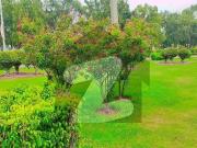 10 Marla Plot Available For Sale In B 17 Block B