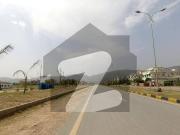 10 Marla Plot Available For Sale In D 12
