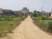 10 marla plot is available near motra main daska road...