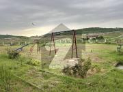 10 Marla Possession Plot For Sale At Prime Location