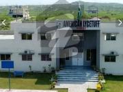 10 Marla Residential Plot Available For Sale in Army...