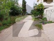 10 Marla Residential Plot For Urgently Sale On Invester Rate