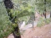 10 Marla Scenic Plot Murree Galiyat Between Ayubia &...