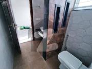 10 marla slightly house available for rent in dha phs 7...