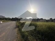 10 Marla Solid Land Plot Is For Sale in Investor Rate