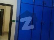 10 marla triple storey house for rent