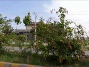 10 Marla Zone 01 Double Road PloT Peshawar ID 35565