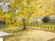 10 Minuten vor Wien! Gepflegte 3 Zimmer Wohnung mit...