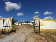 10 quarto, Moura Beja 86115368