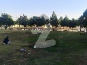 10 Kanal Ready Farm House And Plots Available For Sale...