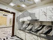 10m beautiful house for sale on new model town mps road...