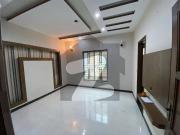 5 Marla Lower Portion Available For Rent like new In... 5 Marla Lower Portion Available For Rent like new In...