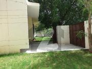 1100 Yards 5 Beds Bungalow Drawing Dining Lounge Garden...