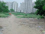 110 Sq.Yd. Plot in Sector 76 Noida Listing ID #8819