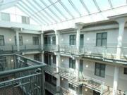 $1115 / 2br 992ft² No Weight limit for DOGS! Old Market...